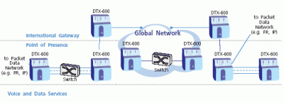 dtx600_carrier